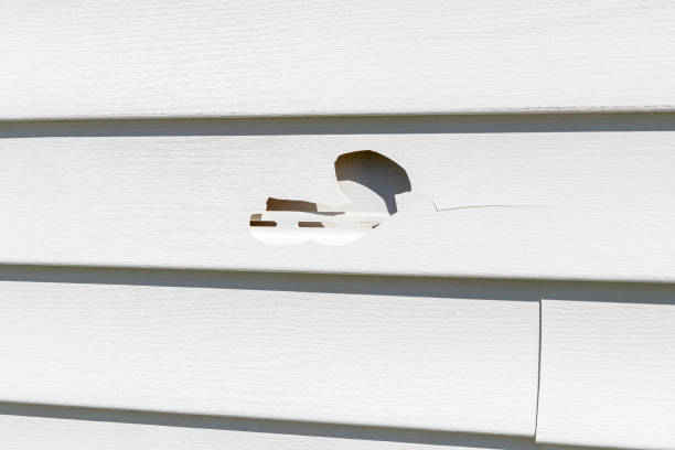 Best Same-Day Junk Removal Services  in Fort Ashby, WV